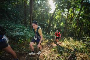 BIB: 
                            <button type="button" onclick="openModal(22544537)" class="btn btn-primary btn-sm float-right btn-popup" data-toggle="modal" data-target=".modal-high-quality">
                        <i class="fas fa-shopping-cart"></i> Add to Cart
                    </button>
                                            <button type="button" onclick="isThisMe(22544537, true)" class="btn btn-success btn-sm float-right btn-popup btn-isme hidden" data-toggle="tooltip" data-placement="bottom" title="นี่คือรูปของคุณใช่ไหม คลิกที่นี่เพื่อเอาเข้าอัลบั้ม">
                        <i class="fas fa-plus"></i> Add to album
                    </button>
                    <button type="button" onclick="isThisMe(22544537, false)" class="btn btn-warning btn-sm float-right btn-popup btn-isnotme hidden">
                        <i class="fas fa-ban"></i> Remove from album
                    </button>